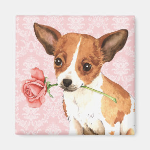 Aimant Rose Valentin Chihuahua