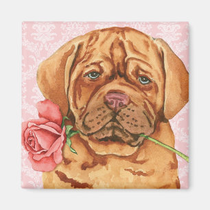 Aimant Rose Valentin Dogue de Bordeaux