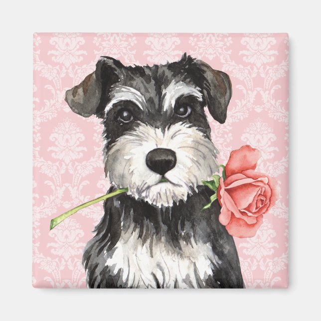 Aimant Rose Valentin Mini Schnauzer (Devant)