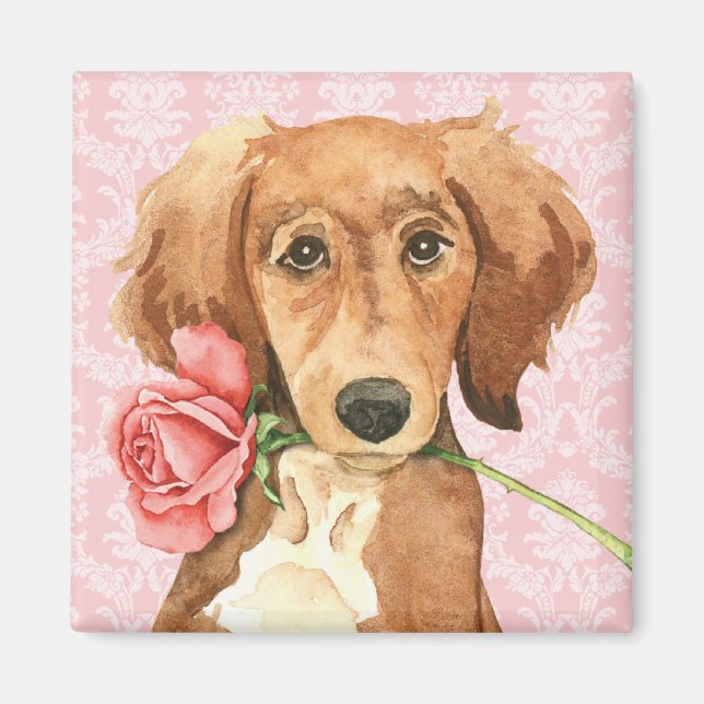Aimant Rose Valentin Saluki (Devant)