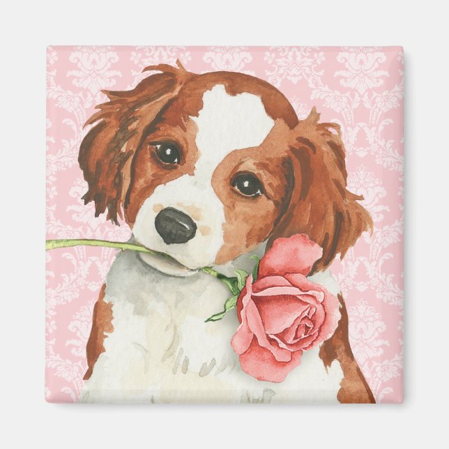 Aimant Rose Valentine Kooiker (Devant)