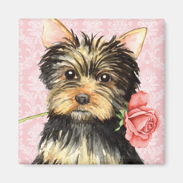 Aimant Rose Valentine Yorkie (Devant)