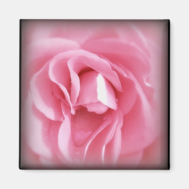 Aimant Rose vierge (Devant)