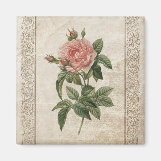 Aimant rose vintage