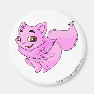 Aimant Rose Wocky
