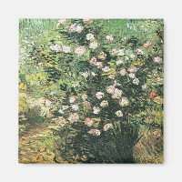 Rosebush in Blossom par Vincent van Gogh