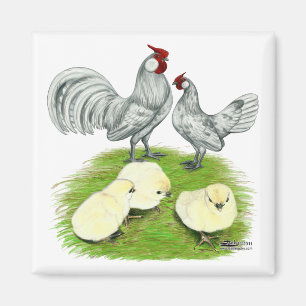 Aimant Rosecomb naine et poussins