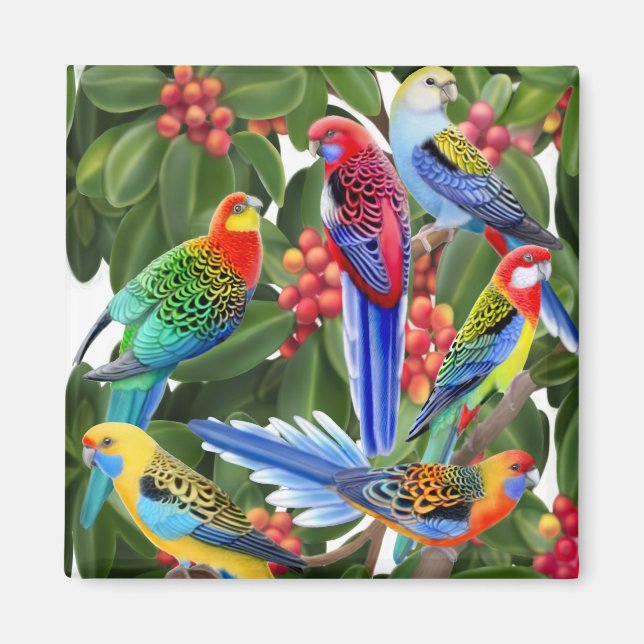 Aimant Rosella Parrots dans l'aimant de l'arbre des figue (Devant)
