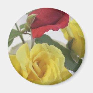 Aimant Roses jaunes et rouges