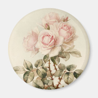 Aimant Roses romantiques victoriens vintages