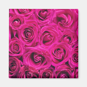 Aimant Roses roses (Amour et Romance)