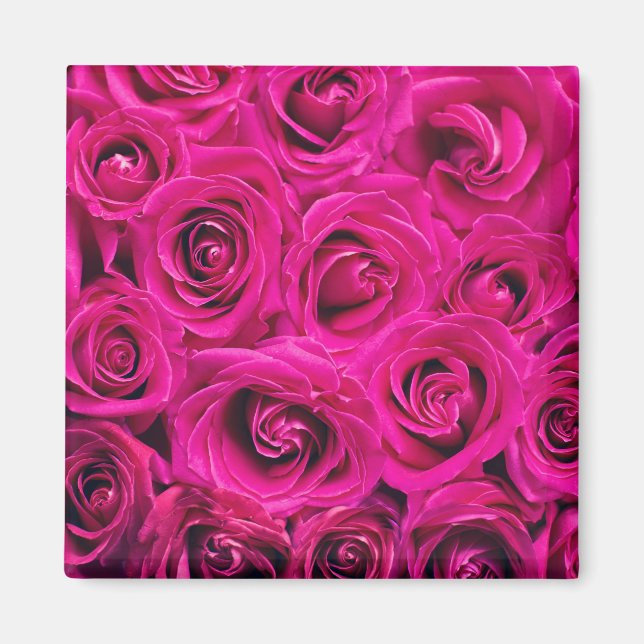 Aimant Roses roses (Amour et Romance) (Devant)