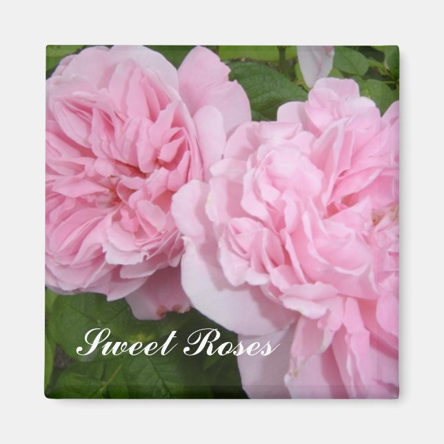 Aimant Roses roses roses tendres (Devant)