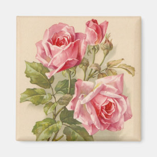 Aimant Roses roses vintages