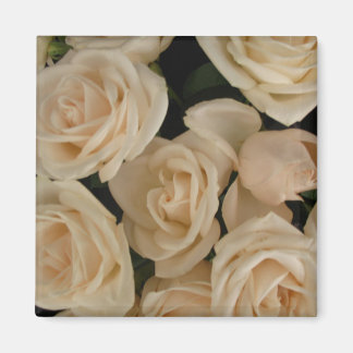 Aimant Roses sur le réfrigérateur