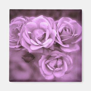 Aimant Roses vintages pourpres