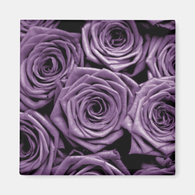 Aimant Roses violets (Devant)
