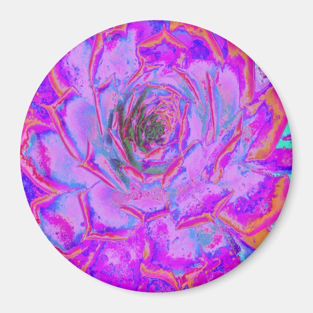 Aimant Rosette Succulente pourpre et magenta (Devant)