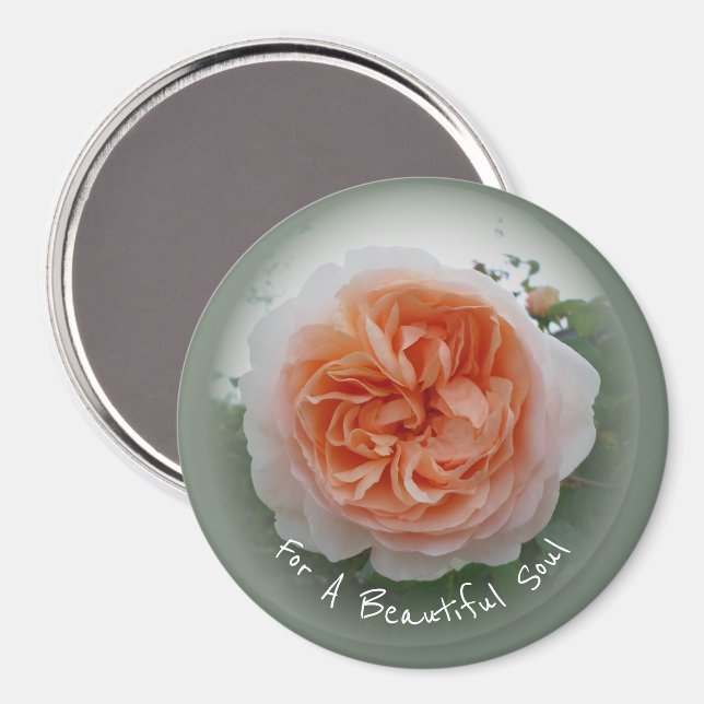 Aimant Rosier Abricot En Fleurs Avec Vignette Verte (Recto/Verso)