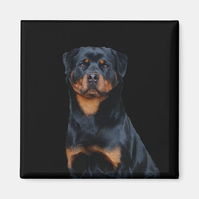 Aimant Rottweiler (Devant)
