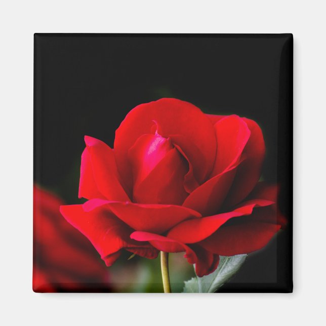 Aimant Rouge (Devant)