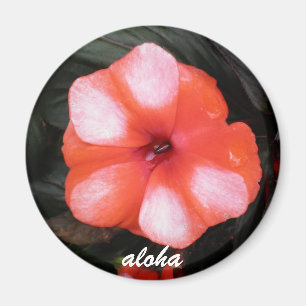 Aimant rouge et blanc aloha