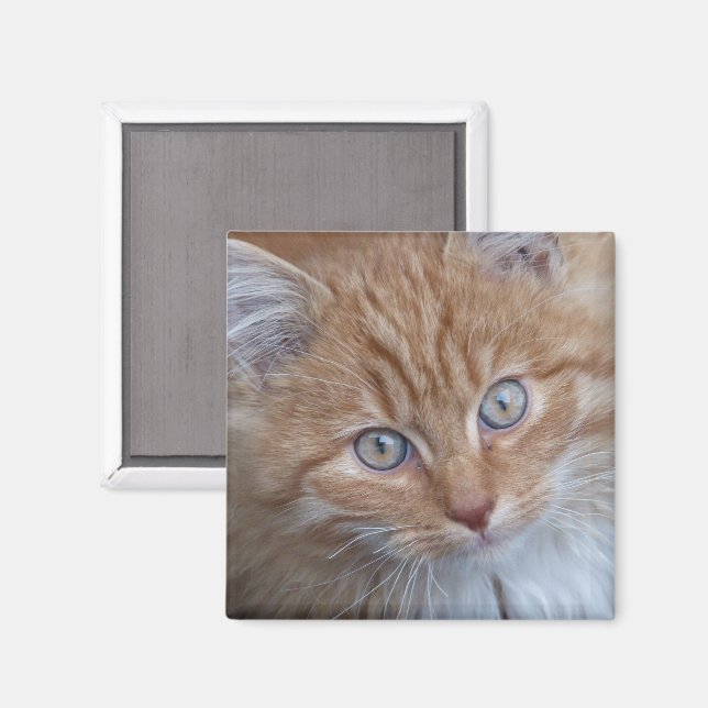 Aimant Rouge et blanc, cheveux longs, visage de chat tabb (Recto/Verso)