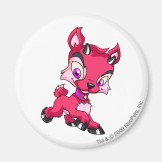 Aimant Rouge Ixi