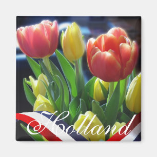Aimant Rouge Jaune Néerlandais Tulips Holland Frigo Magne