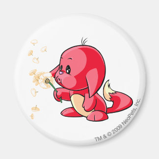Aimant Rouge Kacheek