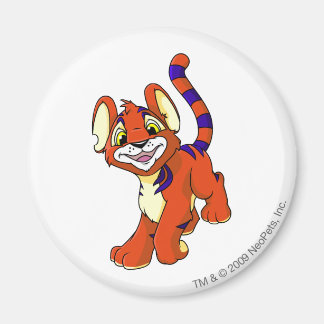 Aimant Rouge Kougra
