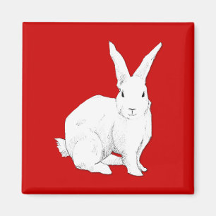 Aimant rouge lapin