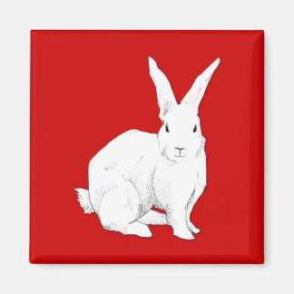 Aimant rouge lapin