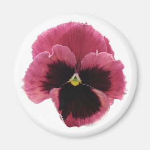 Aimant rouge rond de pensée