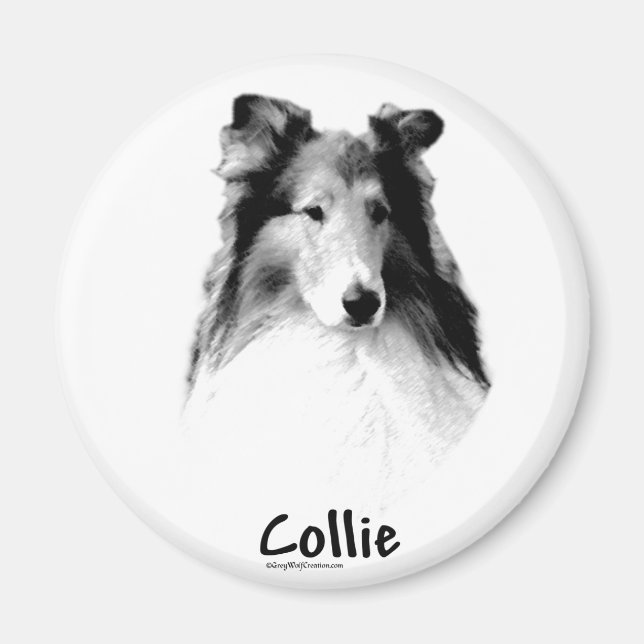 Aimant Rough Collie Charbon (Devant)