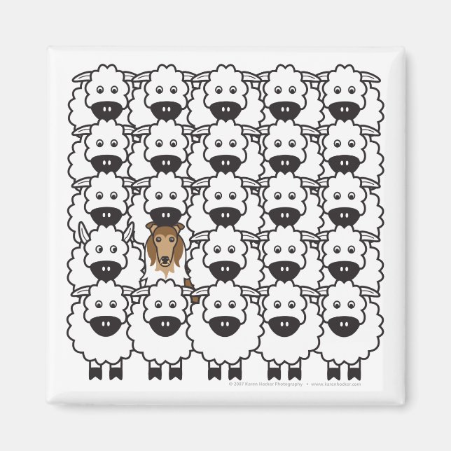Aimant Rough Collie dans le mouton (Devant)