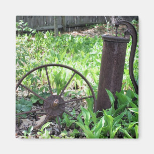Aimant rouillé de nature de jardin d'agrément de