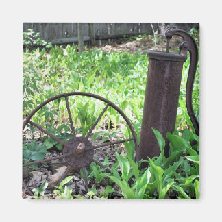 Aimant rouillé de nature de jardin d'agrément de