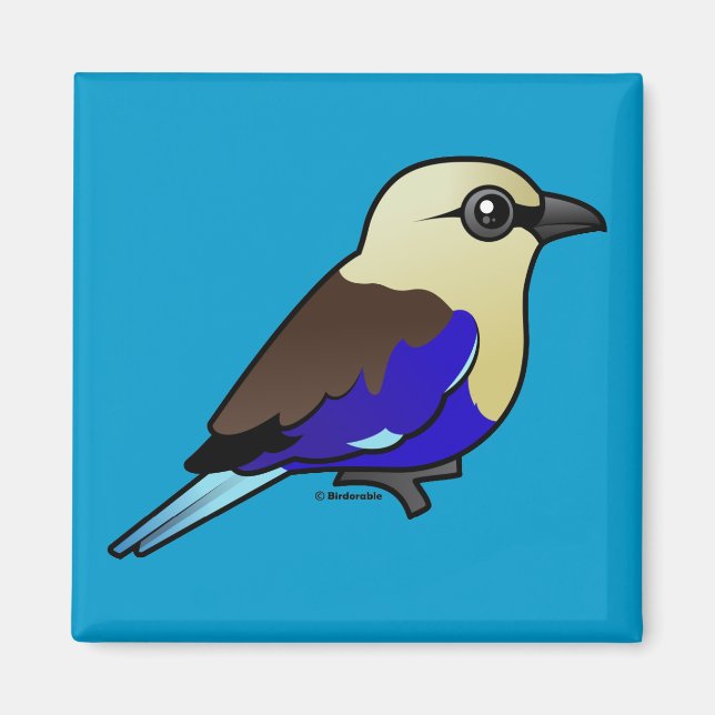 Aimant Rouleau à ventre bleu (Devant)