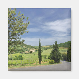 Aimant Route de campagne courbée entre cyprès dans