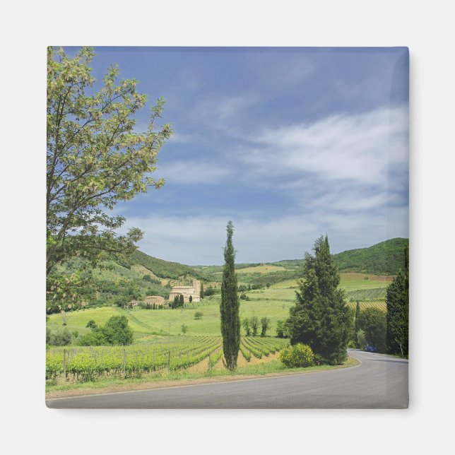 Aimant Route de campagne courbée entre cyprès dans (Devant)