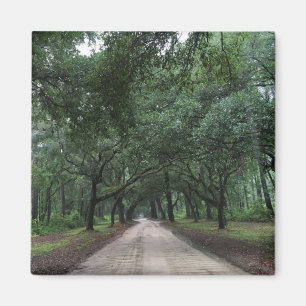 Aimant route de santee