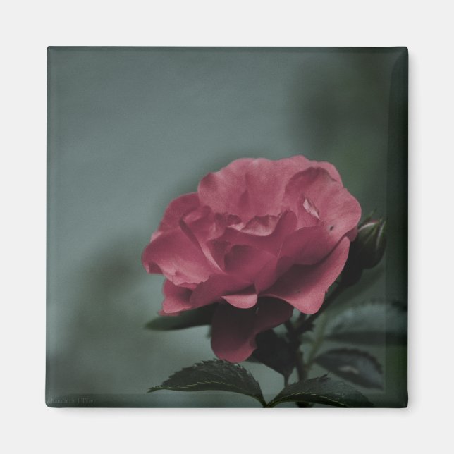 Aimant Royal Blush (Devant)