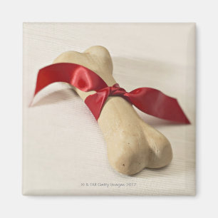 Aimant Ruban rouge attaché au festin de chien