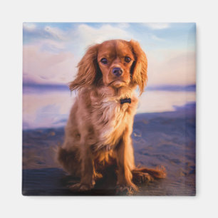Aimant Ruby Cavalier King Charles Spaniel au coucher du s