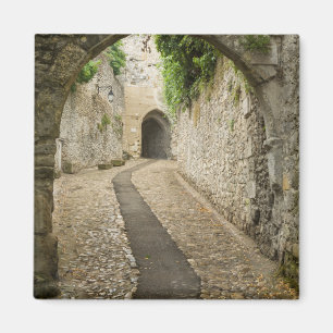 Aimant Rue en pavés gris, France