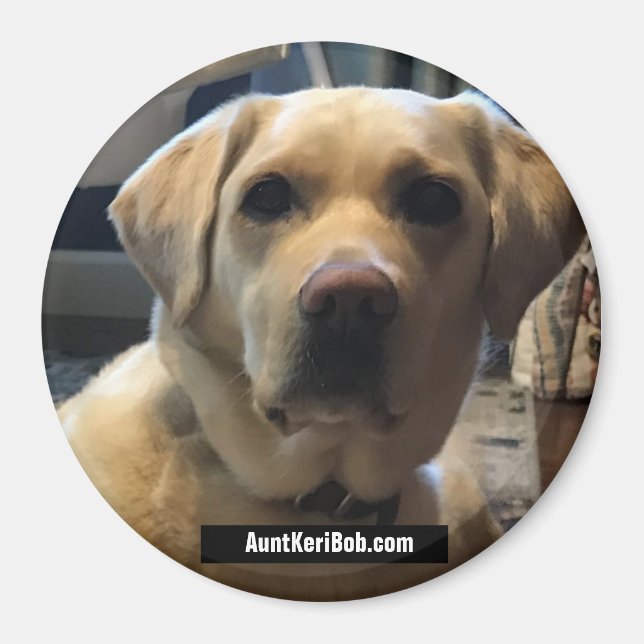 Aimant Ruger août 2020 (Devant)