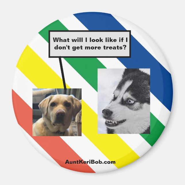 Aimant Ruger in the future (Devant)