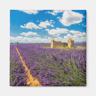 Aimant Ruine dans Lavender Field, France
