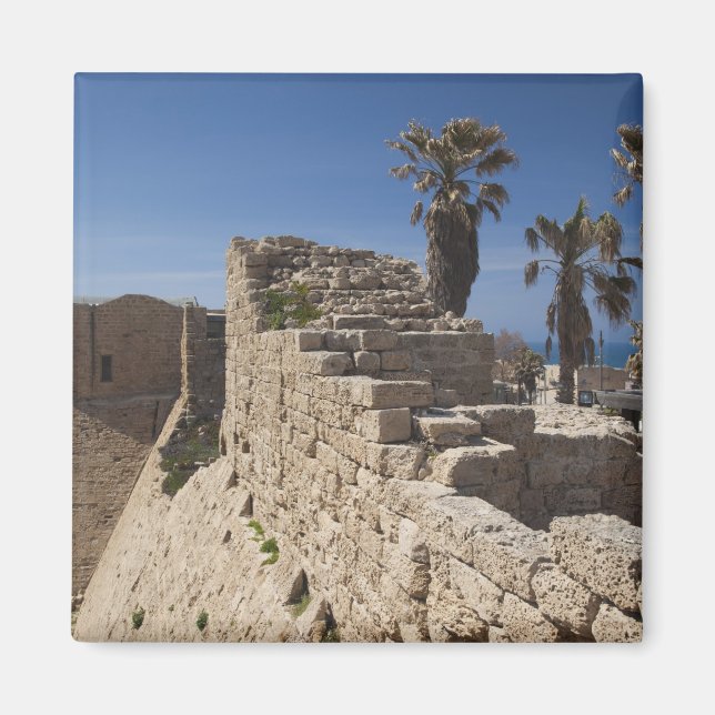 Aimant Ruines de Césarée, port construit par Hérode le Gr (Devant)